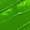 Image Terre verte Studio Acrylics