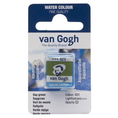 AQUARELLE FINE 1/2 GODET VAN GOGH VERT DE VESSIE