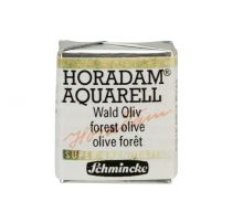 AQUARELLE HORADAM SCHMINCKE SUPERGRANULATION OLIVE FORET