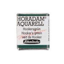 AQUARELLE HORADAM SCHMINCKE VERT DE HOOKER