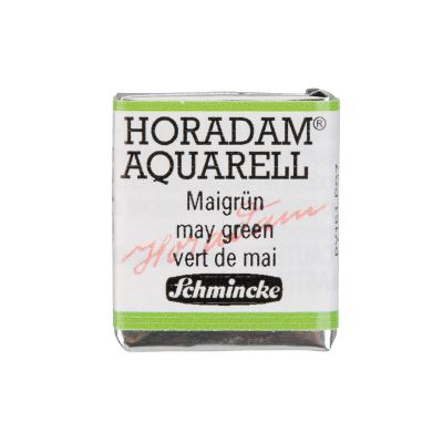 AQUARELLE HORADAM SCHMINCKE VERT DE MAI