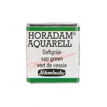 AQUARELLE HORADAM SCHMINCKE VERT DE VESSIE