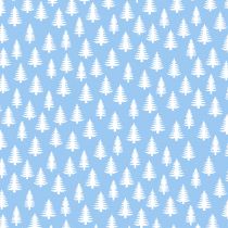 BLOC 10 FEUILLES HIVER ENCHANTE