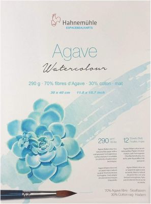 BLOC AGAVE WATERCOLOUR - NATURAL LINE 290G 30X40 12F