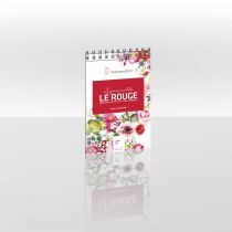 BLOC AQUARELLE ROUGE SPIRALE GRAIN FIN 12X17CM 325G/M²