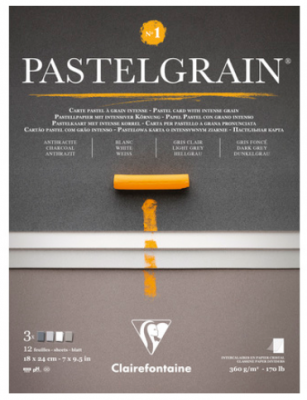 BLOC PASTEL GRAIN 18x24 360G Assortiment N�1 12 Feuilles