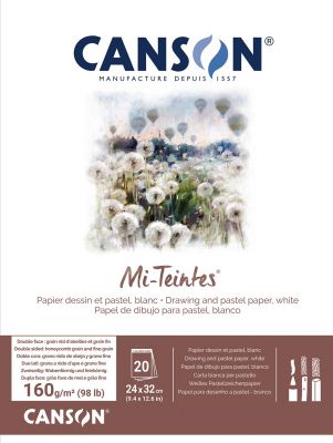 BLOC PASTEL MI TEINTES BLANC 24X32 20 Feuilles 160G - Coll� 1 C�t�