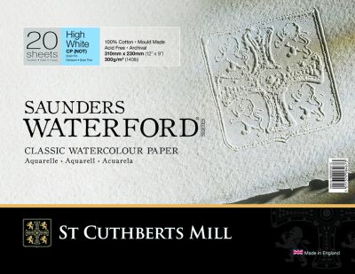BLOC SAUNDERS WATERFORD 300G GRAIN FIN 20 FEUILLES 