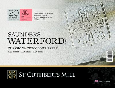 BLOC SAUNDERS WATERFORD 300G GRAIN SATIN 20 FEUILLES 