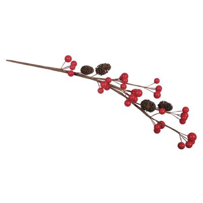 BRANCHE DE BAIES AVEC CONES AULNE