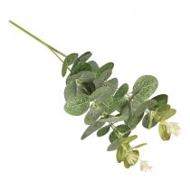 BRANCHE EUCALYPTUS 34CM