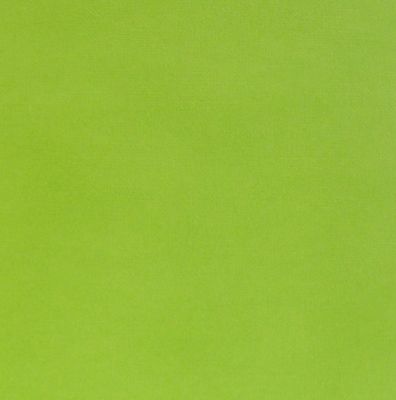 cardstock vert 