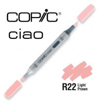 COPIC CIAO R22 Light Prawb