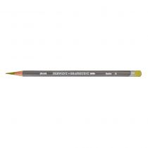 CRAYON GRAPHITINT DERWENT TEINTE VERT PRAIRIE