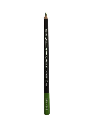 CRAYON MUSEUM AQUARELLE OLIVE CLAIR 245