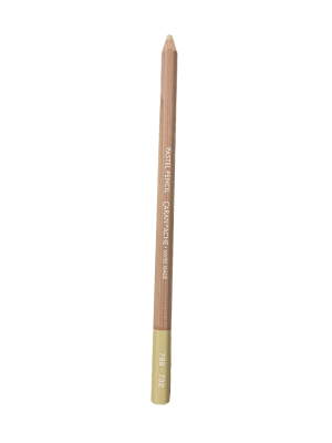 CRAYON PASTEL OLIVE BRUNATRE 10% 732