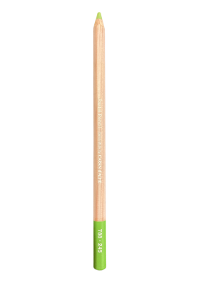 CRAYON PASTEL OLIVE CLAIR 40% 245