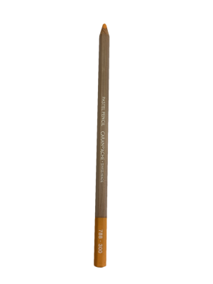 CRAYON PASTEL ORANGE SOLIDE 300