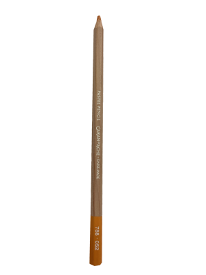 CRAYON PASTEL SAFRAN 052