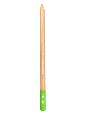 CRAYON PASTEL VERT MOUSSE MOYEN 30% 234