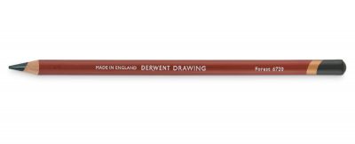 DERWENT CRAYON DRAWING Forest