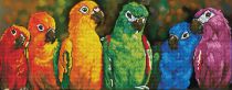 DIAMOND DOTZ RAINBOW PARROTS