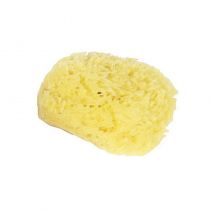 EPONGE NATURELLE 10CM