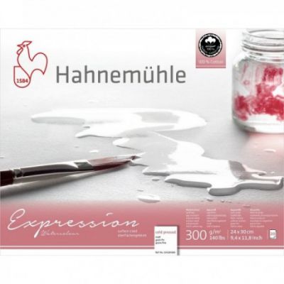 EXPRESSION GRAIN FIN 100% COTON 24X30CM 300G/M� 20 FEUILLES