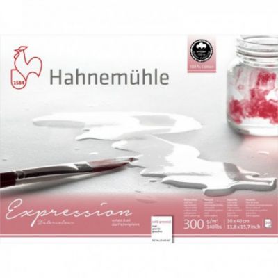 EXPRESSION GRAIN FIN 100% COTON 30X40CM 300G/M� 20 FEUILLES