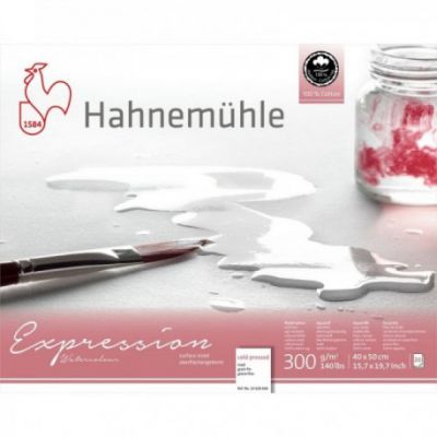 EXPRESSION GRAIN FIN 100% COTON 40X50CM 300G/M� 20 FEUILLES