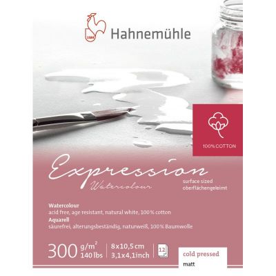 EXPRESSION GRAIN FIN 100% COTON 8X10.5 CM 300G/M� 12 FEUILLES