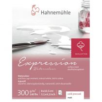 EXPRESSION GRAIN FIN 100% COTON 8X10.5 CM 300G/M&sup2; 12 FEUILLES