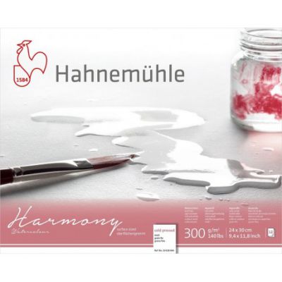 HARMONY GRAIN FIN 24X30CM 300G/M� 12 FEUILLES