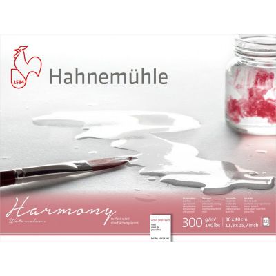 HARMONY GRAIN FIN 30X40CM 300G/M� 12 FEUILLES