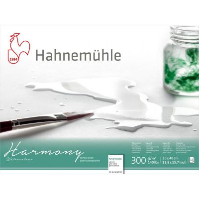 HARMONY GRAIN SATIN 30X40CM 300G/M� 12 FEUILLES