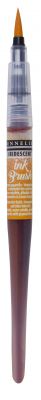 INK BRUSH ORANGE IRISE