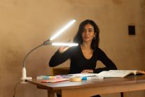 LAMPE DAYLIGHT A PINCE DUOPRO