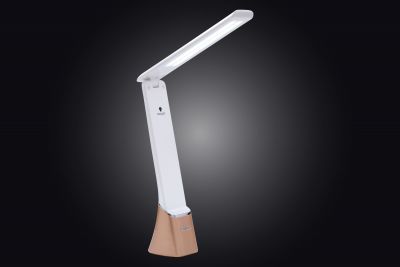 LAMPE LED DAYLIGHT SMART GO