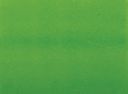 MOLOTOW� 127 HS-CO ONE4ALL� 1.5MM VERT FLUO 219