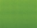 MOLOTOW� ONE4ALL� REFILL 180ML VERT SAUTERELLE 221