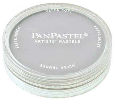 PANPASTEL GRIS DE PAYNES CLAIR 1