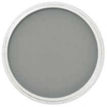 PANPASTEL GRIS NEUTRE FONCE