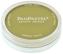 PANPASTEL VERT JAUNE BRILLANT FONCE