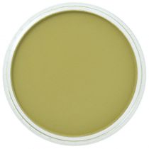 PANPASTEL VERT JAUNE BRILLANT FONCE