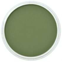 PANPASTEL VERT OXYDE DE CHROME FONCE
