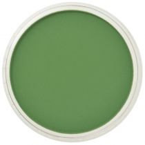 PANPASTEL VERT OXYDE DE CHROME