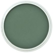 PANPASTEL VERT PERMANENT TRES FONCE