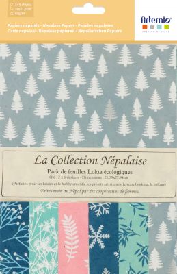 PAPIER NEPALAIS HIVER 12 FEUILLES