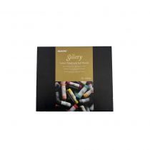 PASTELS EXTRA-FINS, TENDRES FAIT MAIN X 60 MUNGYO GALLERY 
