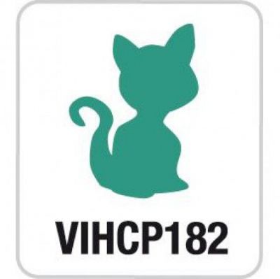 PETITE PERFO CHAT